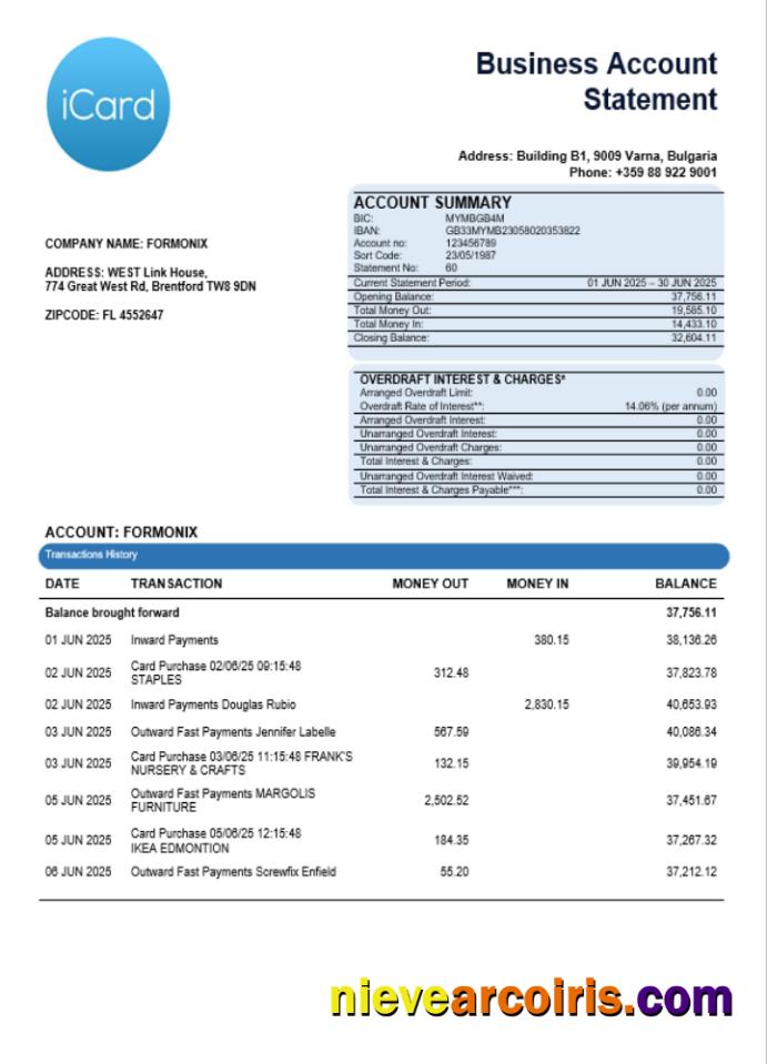 iCard business bank statement